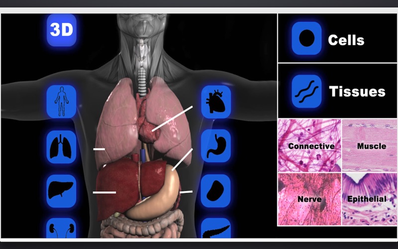 How to cancel & delete anatomy 3d organs 1