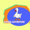 Goose Adventure