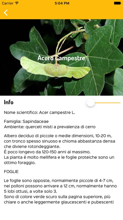 Rifugio "La casermetta" screenshot-4