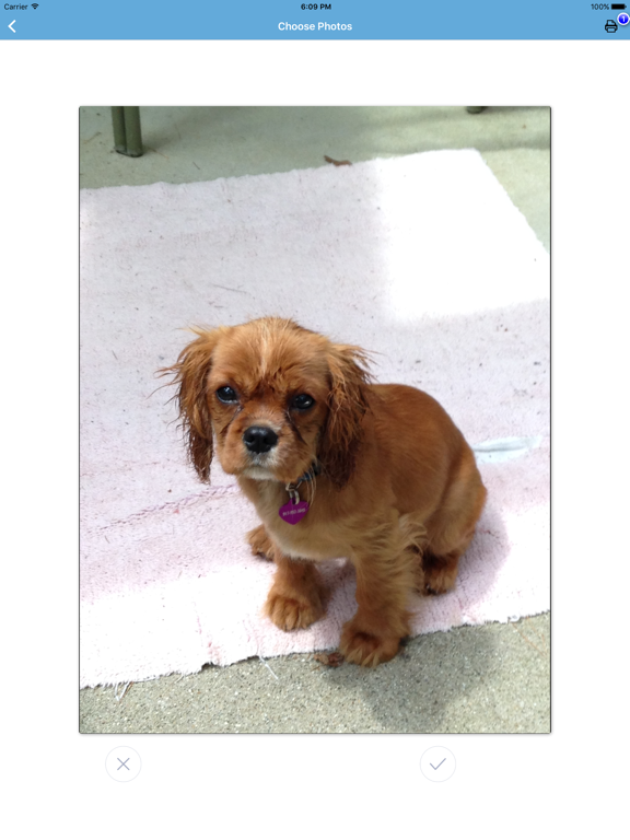 Swipe and Print iPad screenshot 3 - Photo & Video app