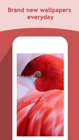 Game screenshot HD Wallpapers Backgrounds apk