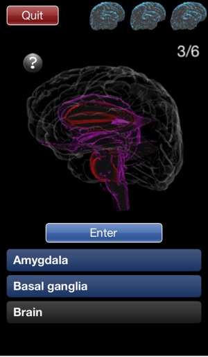 E-Action Info: Your epilepsy resource(圖5)-速報App