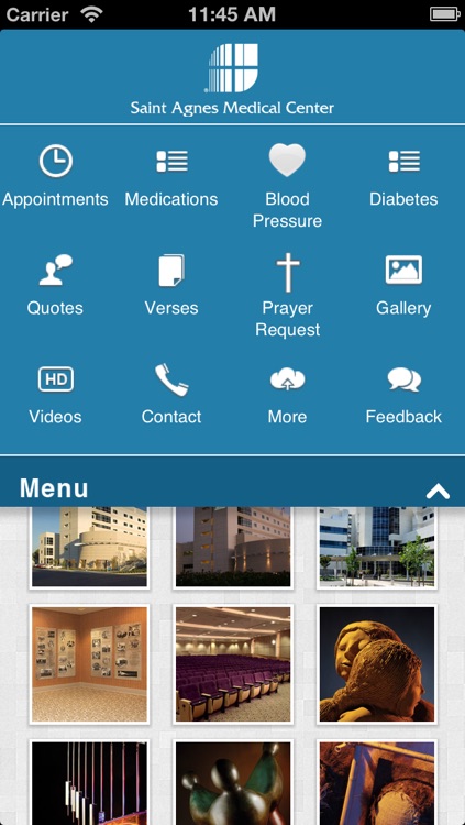 Saint Agnes screenshot-4
