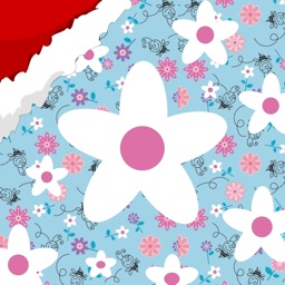 Wallpaper for smartphone - top themes, background and images