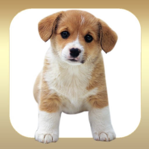 A Pet Puppy Booth for iPhone