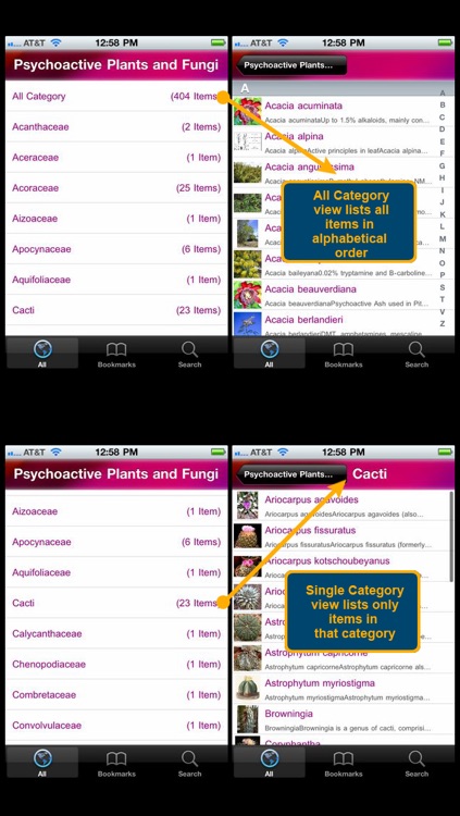 Psychoactive Plants and Fungi