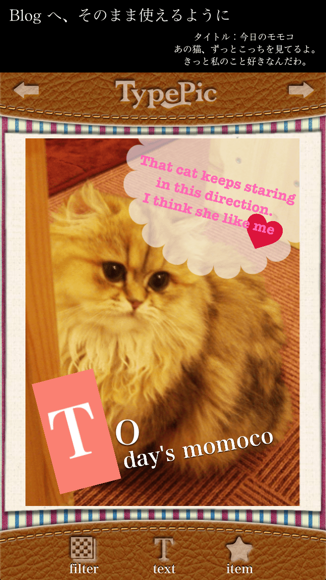 Screenshot #2 pour TypePic-Texte sur l'image