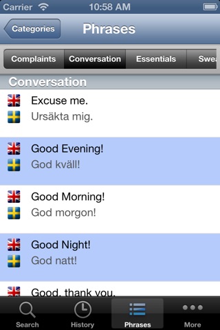 English Swedish Dictionary screenshot 3