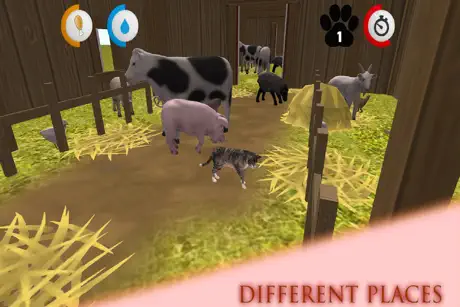 Real Cat Simulator