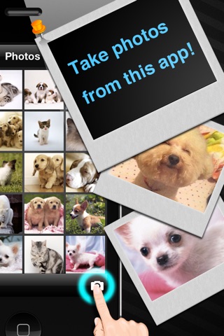 Photo Safe with Mosaic screenshot 3