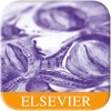 MedWords for iPad and iPhone