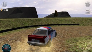 3D Rally Racing screenshot1