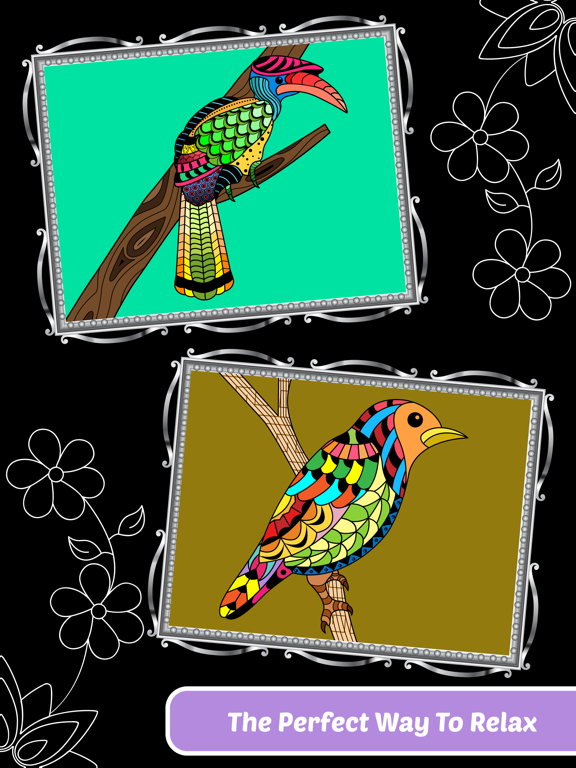 Love Birds Art Class: Stress Relieving Coloring Books for Adults iPad screenshot