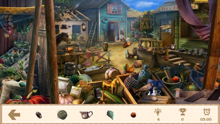 Mystery Places Hidden Objects