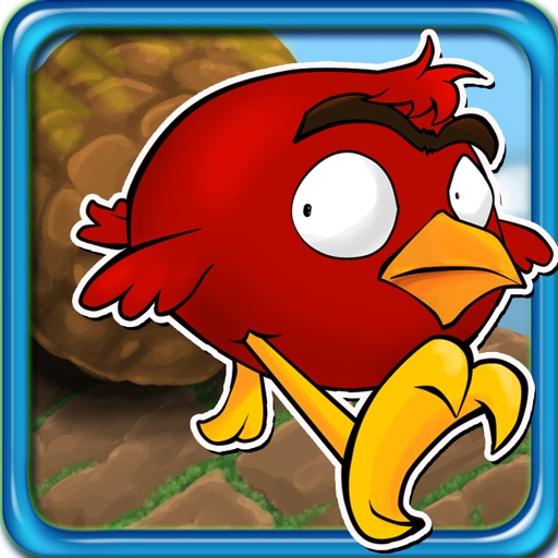 Happy Birds On The Run - Cool Fun Adventure Arcade Game - FREE FOREVER iOS App