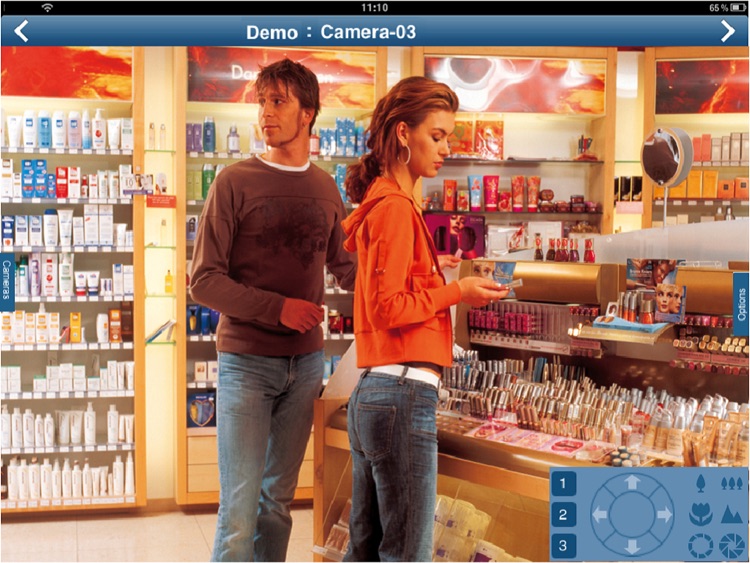 Bosch DVR Client