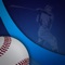 "The most complete app for Tampa Bay Rays Baseball Fans