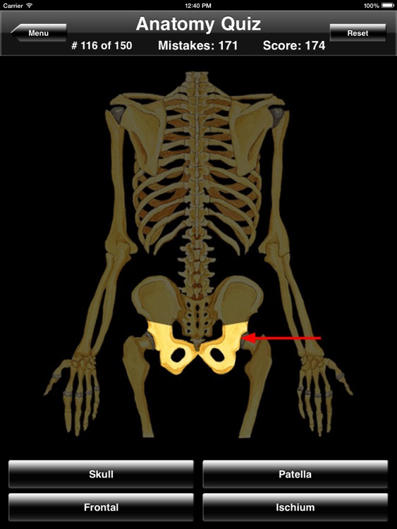 Anatomy Quiz for iPad