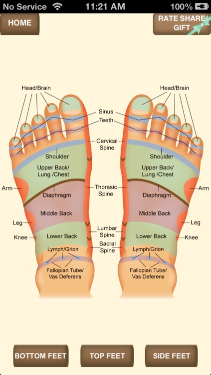 iPocket Foot Reflexology