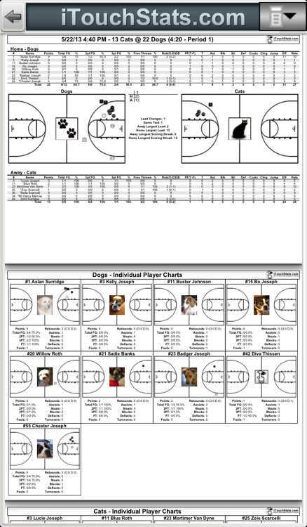 iTouchStats Basketball screenshot-4