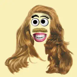 Wig it! app icon