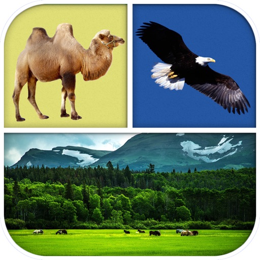 Animal Quiz - Which animal is that? iOS App