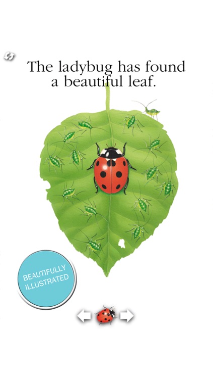 Scholastic First Discovery: Ladybug for iPhone screenshot-3