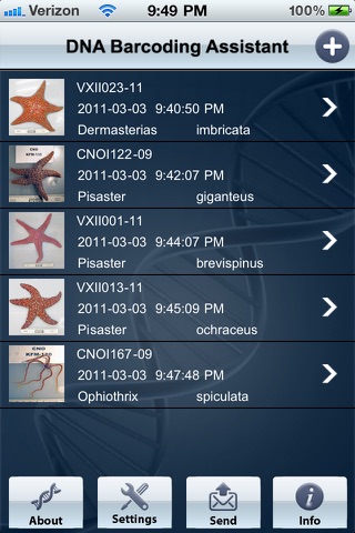 DNA Barcoding Assistant screenshot 2