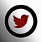 Twitcam is the fastest way to take a picture and upload it to your Twitter account