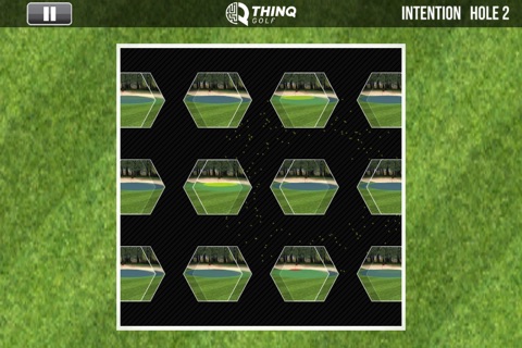 THINQ Golf screenshot 4