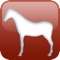 Designed for people interested in the anatomy of the horse, this app includes stunning 3-D anatomic illustrations and descriptions in an intuitive flashcard format