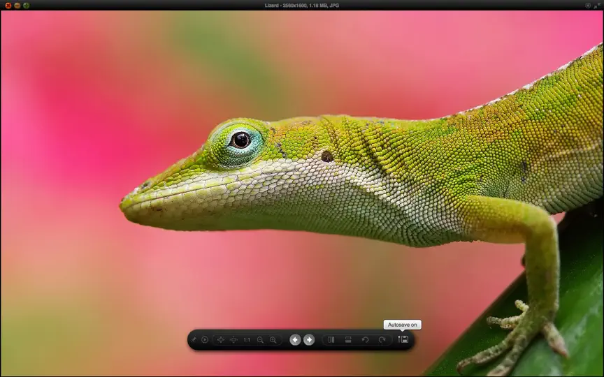 Captura de pantalla de Image Viewer Deluxe en iPhone 5