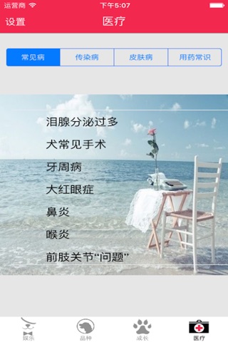 汪星宝典 screenshot 2