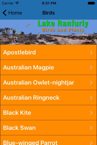 Lake Ranfurly Birds and Plants by Mildura West Primary School Environmental Team screenshot 2