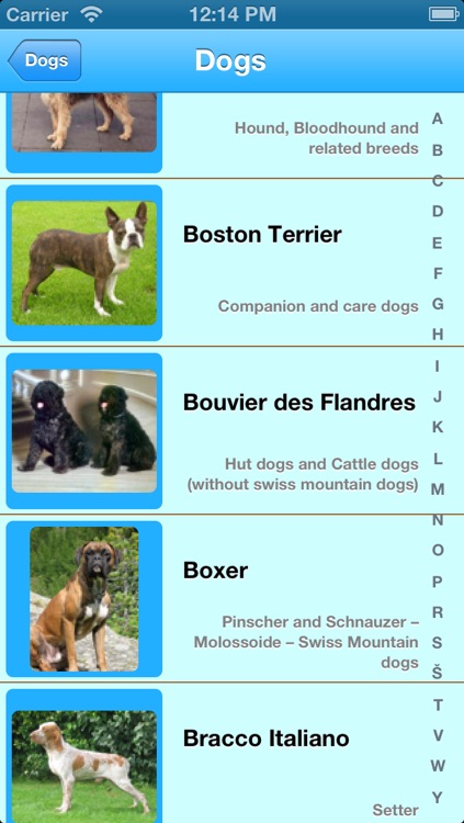 Dogs Info