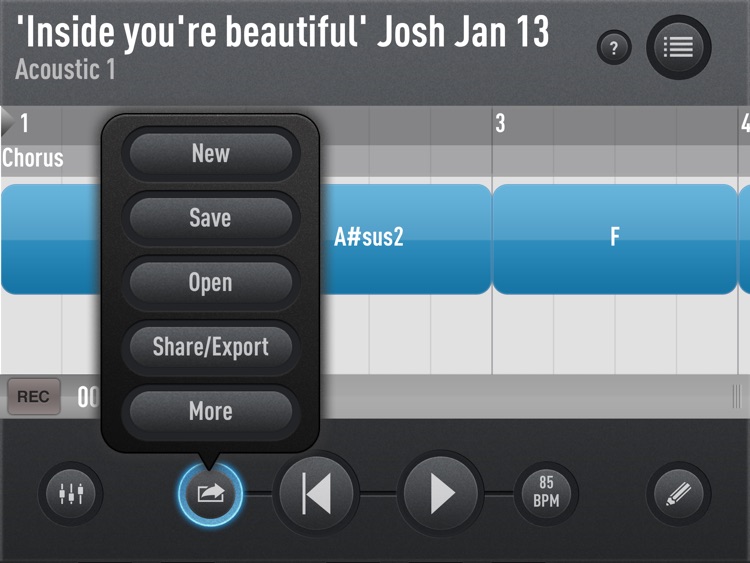 SessionBand for iPad screenshot-3