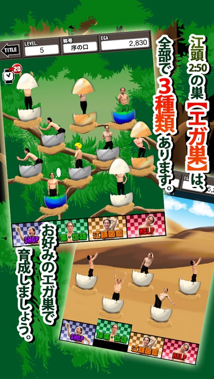 EGASHIRA nyokinyoki‎