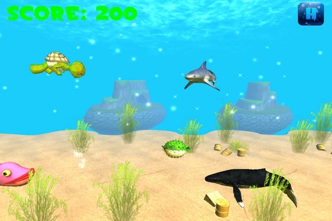 Adventure Of Flip The Turtle screenshot 2