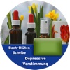 Depressive Verstimmung Bach-Blüten Scheibe