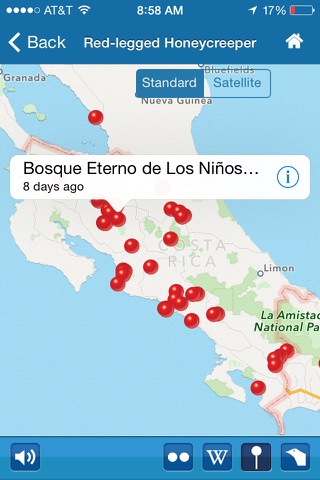 BirdsEye Costa Rica - Bird Finding Guide screenshot 4
