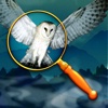 Hideaways: Foggy Valley - Fun Seek and Find Hidden Object Puzzles