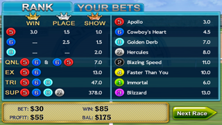 Virtual Horse Racing 3D Lite screenshot 5