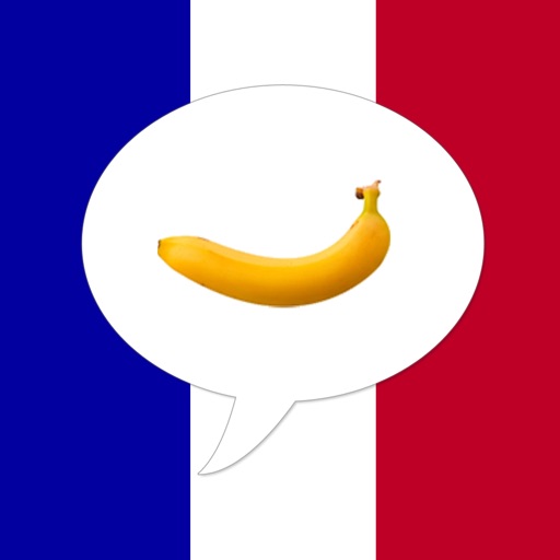 French Picture Dictionary
