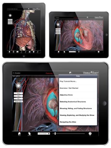 3D Heart & Circulatory Premium 2 (3D Hart & Bloedcirculatie Premium 2 voor Springer) screenshot 2