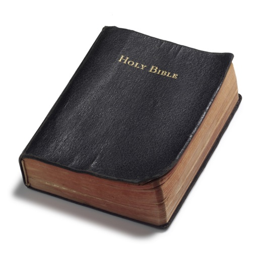 Darby Bible