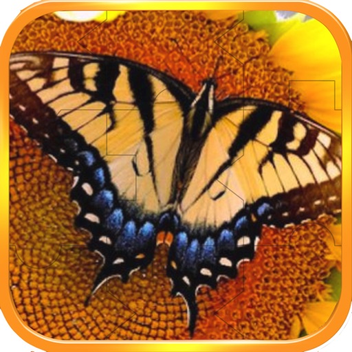 Zoo JigSaw iOS App