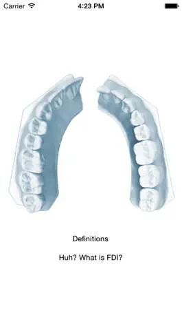 Game screenshot Tooth Morphology - Your Quick Reference Guide mod apk