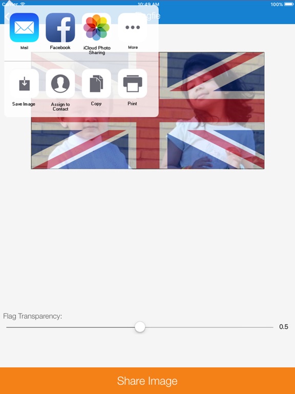 Flagfie - Selfie with Flag iPad screenshot 5 - Photo & Video app