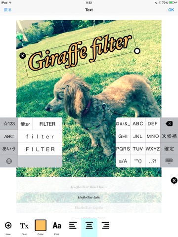 (Free)シンプル画像加工！Giraffe filter for iPad(ジラフ フィルター) 軽快な動作とたくさんのフィルターで画像を簡単加工 screenshot 4