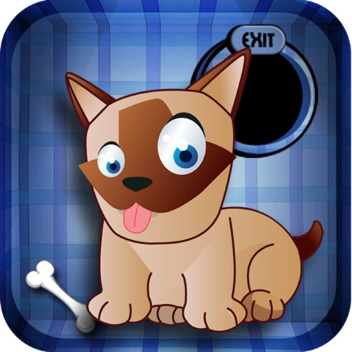 Hungry Dog Lite icon